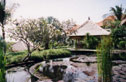 Water Features