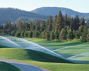 Irrigation & Drainage
