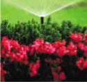 Irrigation & Drainage